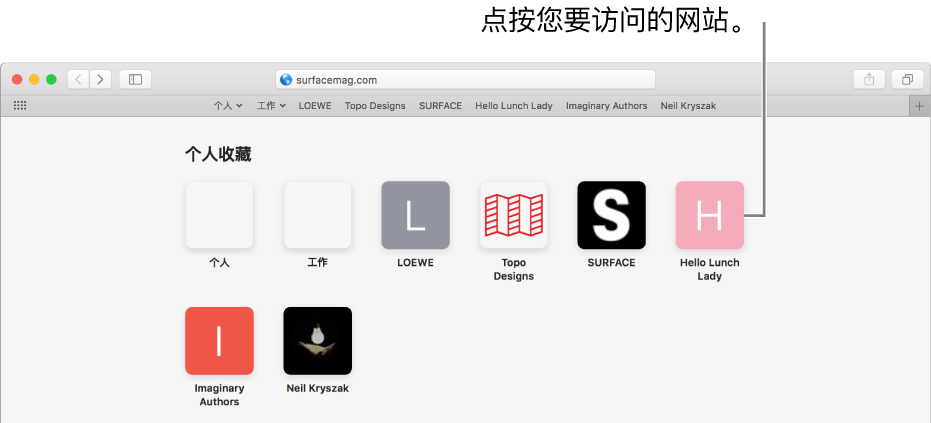 Safari 浏览器地址和搜索栏;其下方是个人收藏网站的图标。